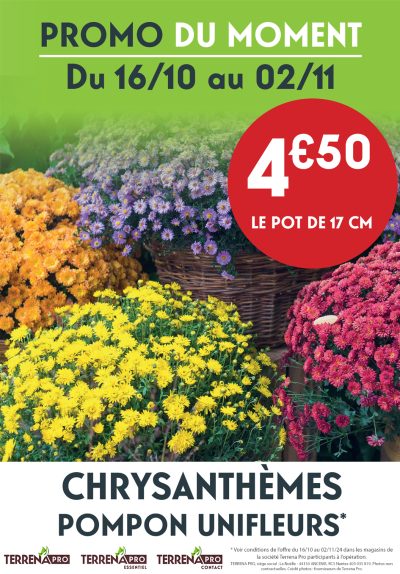 Actu Web Terrena PRO OFFRE CHRYSANTHEMES - OCTOBRE&NOV 2024